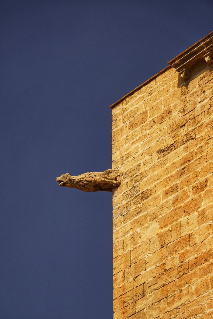 Close-up of a gargoyle on a historic Valencia building against a clear sky.